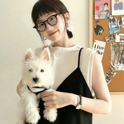 飞侠小白龙